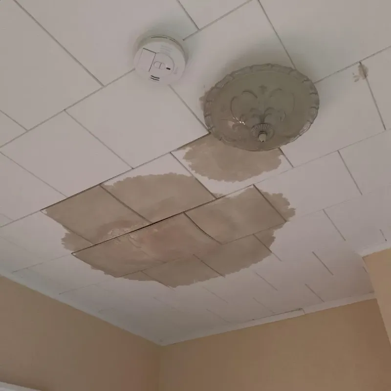 Ceiling Water Damage Repair in McChord Air Force Base, WA