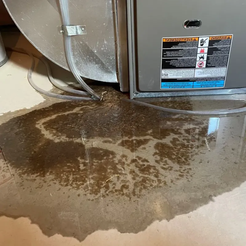 Pipe Burst and Leak Restoration in McChord Air Force Base, WA