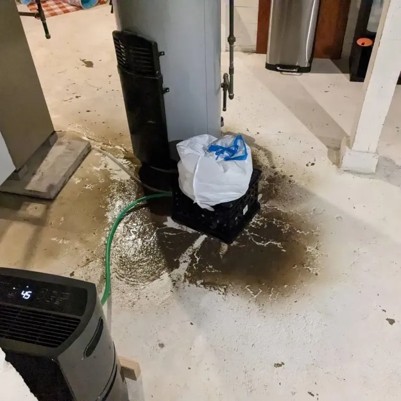 Sewage Backup Cleanup Service in McChord Air Force Base, WA